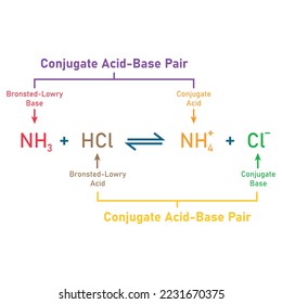 Bronsted-Lowry acid-base reaction theory. Scientific vector illustration isolated on white background.