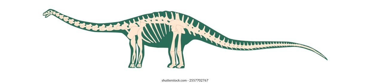 Brontosaurus creature skeleton vector illustration