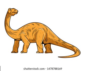 Brontosaurus the highest dino dinosaur. Cartoon character illustration drawing engraving ink line art vector. Isolated white background for print design t shirt clothes sticker poster badge.