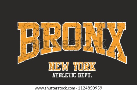 bronx graphic design vector art
