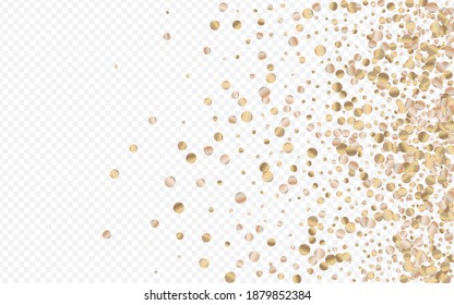 Bronze Splash Shiny Transparent Background. Glamour Polka Banner. Golden Circle Bridal Backdrop. Glow Happy Background.
