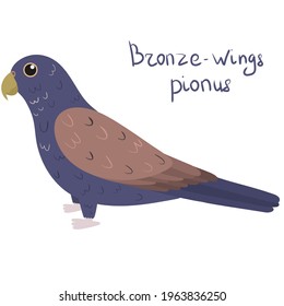 Bronze-winged parrot in cartoon style on white background. Vector hand drawn illustration. Pionus chalcopterus.