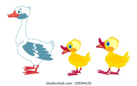 Brood of the geese