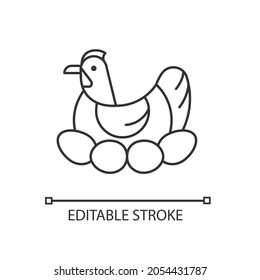 Brood hen linear icon. Bird sitting on egg clutch to incubate chicks. Nesting chicken. Thin line customizable illustration. Contour symbol. Vector isolated outline drawing. Editable stroke