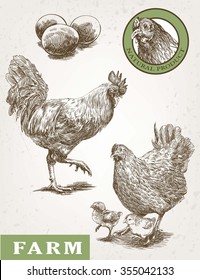 brood-hen and rooster. sketches made by hand on a gray background