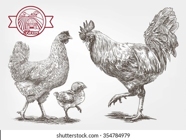 brood-hen. sketches made by hand on a gray background