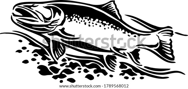 Brook Trout Black White Stock Vector (royalty Free) 1789568012 