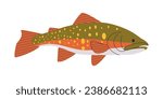 brook trout fish animal green and yellow color with spotted skin species freshwater swimming underwater fresh delicious seafood meat