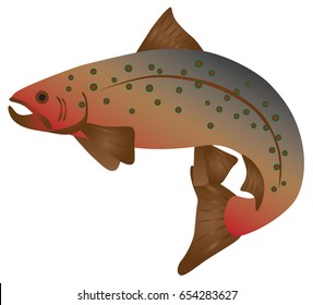 Brook Trout Fish in Color vector Illustration
