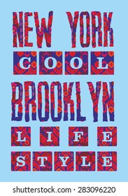 brooklyn new york city vector art