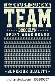 Brooklyn sport, team slogan typography, t-shirt graphics, vectors