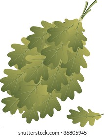 The broom consists of oak branches