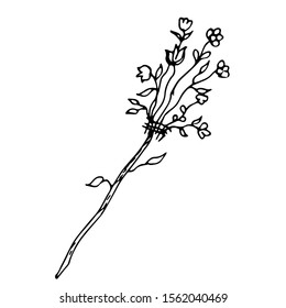 Broom. Line drawing. Vector illustration.