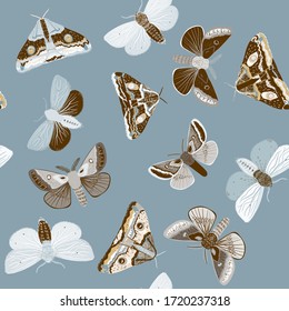 Broun moths on a grey, light blue color background. Seamless vector pattern with insects. Repeating square pattern for fabric and wallpaper.