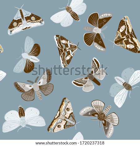 Broun moths on a grey, light blue color background. Seamless vector pattern with insects. Repeating square pattern for fabric and wallpaper.