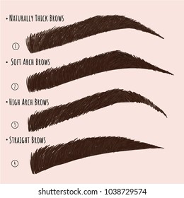 Brow Forms set. Hand-drawn vector sketch illustration. Brow master illustration EPS 10.