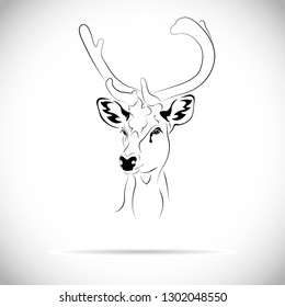 Brow-antlered Deer, Thamin (Rucervus eldii thamin) In the East Asian forest.