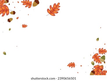 Brown Acorn Background White Vector. Leaf November Illustration. Gold Oak. Abstract Frame. Orange Plant Dead.