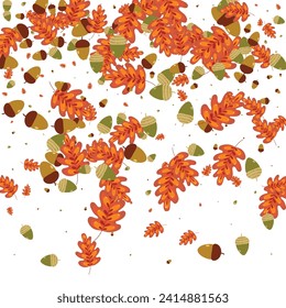 Brown Acorn Background White Vector. Oak Drawn Frame. Orange Herb. Dead Set. Yellow Foliage Border.