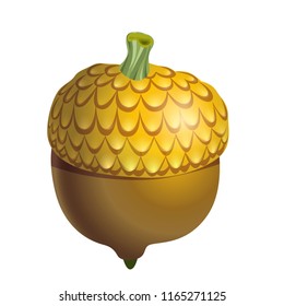 Brown acorn isolated on white background close up. Autumn element for your design. Vector illustration