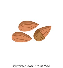 Brown almond nuts in and half out of shell isolated on white background. Cartoon food vector illustration of three almonds in fully and halfway peeled form.