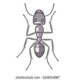 Brown ant isolated on white. Insect icon.