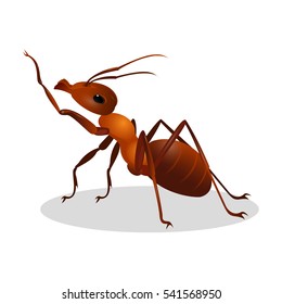 Brown ant isolated on white. Insect icon. Termite. Eusocial insect. Brown animal insect creature with elbowed antennae and t distinctive node-like structure that forms their slender waists. Vector