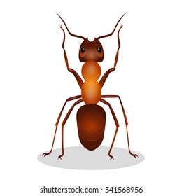 Brown ant isolated on white. Insect icon. Termite. Eusocial insect. Brown animal insect creature with elbowed antennae and t distinctive node-like structure that forms their slender waists. Vector