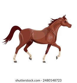 Brown arabian horse running trot. Side view. Vector illustration isolated on a white background in realistic style