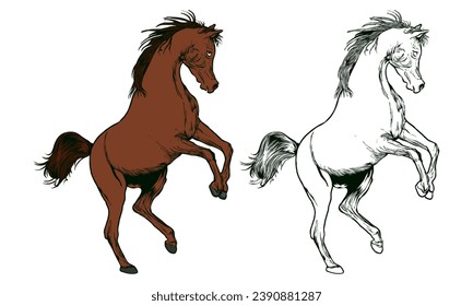 brown arabian horse stallion vector stock
