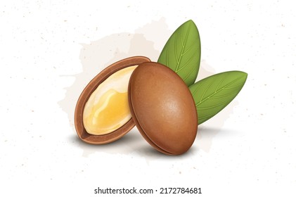 Brown Argan Oil Nuts Vector Illustration With Green Leaves