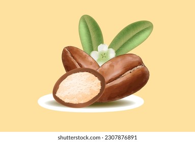 Ilustración del vector de nueces de aceite de argán marrón con hojas verdes.