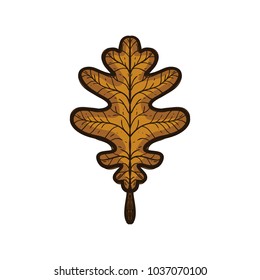 Brown autumn leaf oak isolated on white background. Hand drawn colored  sketch style. One of vector illustration collection  