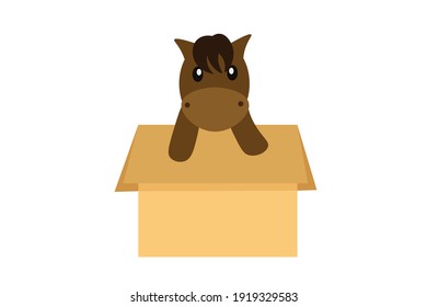 Brown Baby Horse in Carton
