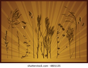 Brown background with many  silhouettes of plants, vector illustration