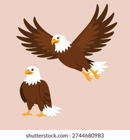 Brown bald hawk flying, freedom falcon, wild eagle illustration