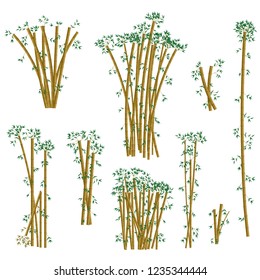 Brown bamboo illustration set. Vector.