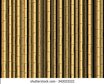 Brown Bamboo Poles Forest Background.