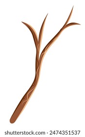 brown bare branch without leaves