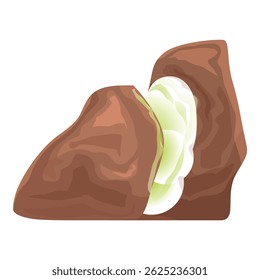 Brown bean showing green inside on white background