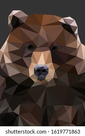 Brown bear against a dark background in triangulation technique