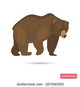 Brown bear animal color flat icon