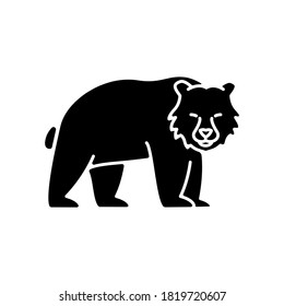 Brown bear black glyph icon. Large carnivore predator, dangerous woodland creature, forest inhabitant. Common nordic fauna silhouette symbol on white space. Grizzly bear vector isolated illustration