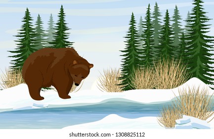 Brown bear by the river. Spring. Spruce forest, bushes and lake. Realistic Vector Landscape