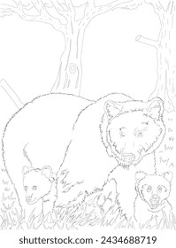 Brown bear canada line art illustration for coloring book interior