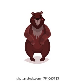 Brown bear cartoon vector Illustration