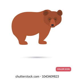 Brown bear color flat icon