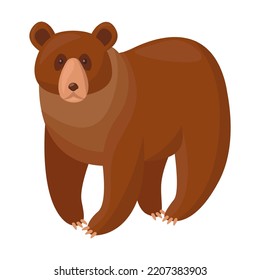Brown bear. Cute cartoon grizzly walking isolated on white. Vector illustrations for wildlife, predators, mammal animals concept