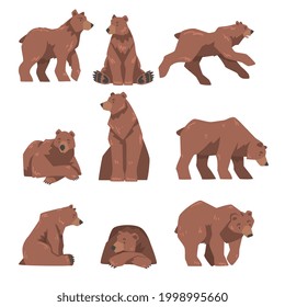 Brown Bear in Different Poses Set, Large Wild Predator Mammal Animal Cartoon Vector Illustration