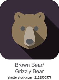 Brown bear face flat icon design. Animal icons series.